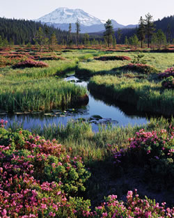 Cascade Lakes - Oregon, United States