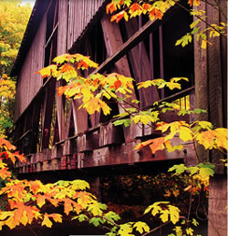 Photo of Chambers Bridge, once a railroad bridge