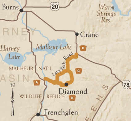 Diamond Loop Map