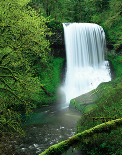 Middle North Falls, in Silver Falls State Park