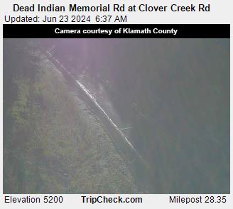 Dead Indian Clover