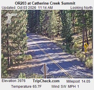 OR-203 & Catherine Creek Summit SB traffic camera
