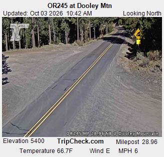OR-245 & Dooley Mtn traffic camera, view north