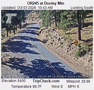 OR-245 & Dooley Mtn traffic camera, view south