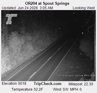 ORE 204 at Spout Springs WB