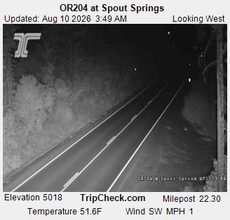 ORE 204 at Spout Springs WB