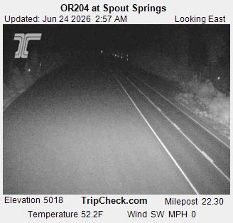 ORE 204 at Spout Springs