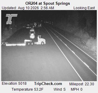 ORE 204 at Spout Springs
