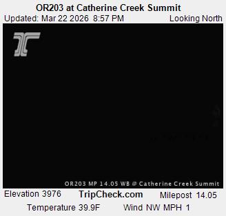 OR203 at Catherine Creek Summit live webcam