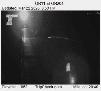 OR11 at OR204 live webcam