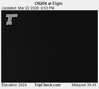 OR204 at Elgin live webcam