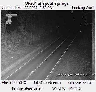 OR204 at Spout Springs live webcam