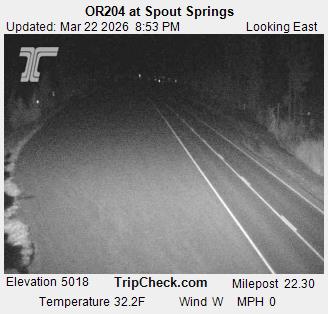 OR204 at Spout Springs live webcam