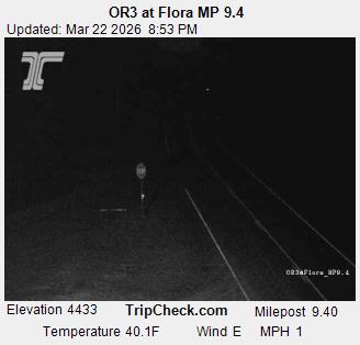 OR3 at Flora MP 9.4 live webcam
