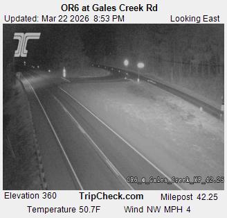 OR6 at Gales Creek Rd live webcam