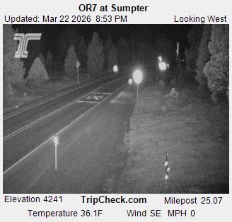 OR7 at Sumpter live webcam